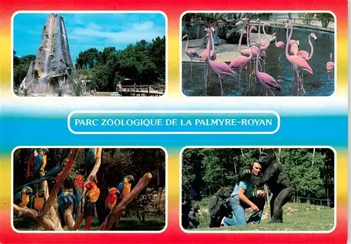 AK / Ansichtskarte  Zoo_Gardin_Zoologique-- Palmyre-Royan Papagai Gorila Flamingo