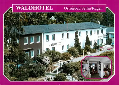 AK / Ansichtskarte  Sellin__Ruegen Waldhotel