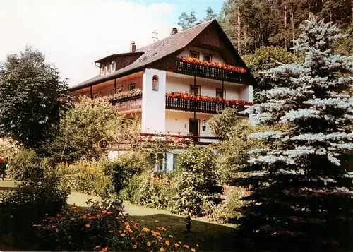 AK / Ansichtskarte  Pottenstein_Oberfranken Gaestehaus Schatz