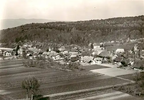 AK / Ansichtskarte  Gampelen_BE Vue aérienne