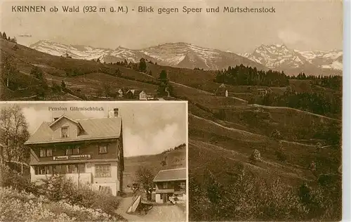 AK / Ansichtskarte  Krinnen_Wald_ZH Panorama Blick gegen Speer und Muertschenstock Pension Glaernischblick