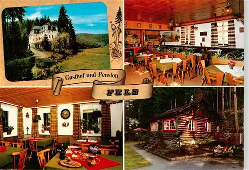 AK / Ansichtskarte  Schwarzenbach_am_Wald Gasthof Pension Fels Gastraeume