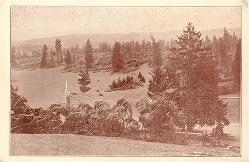 AK / Ansichtskarte  Les_Breuleux_JU Le Cyclone du 12 Juin 1926 Région des Franches-Montagnes Forêt