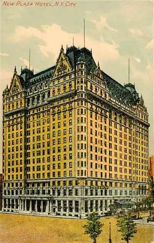 AK / Ansichtskarte  NEW_YORK_City_USA New Plaza Hotel Illustration