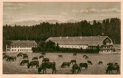 AK / Ansichtskarte  Kempten_Allgaeu Gut Ochsenhof Viehweide Kuehe