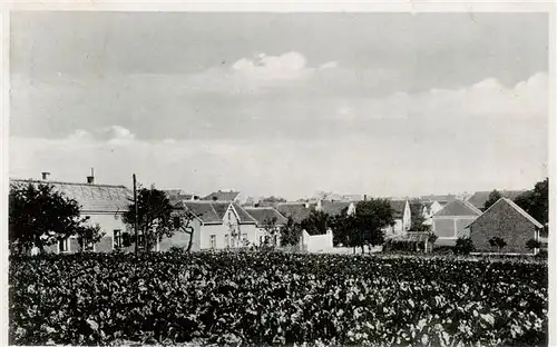 AK / Ansichtskarte  Turany_Slovakia Teilansicht