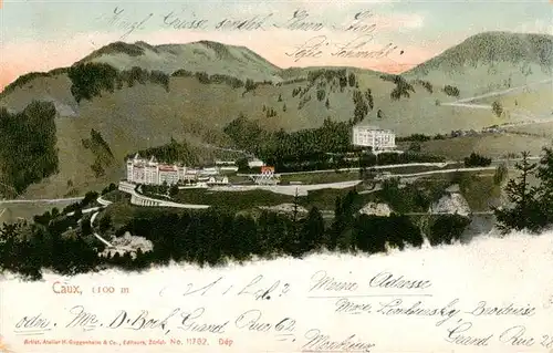 AK / Ansichtskarte  Caux_VD Panorama