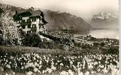 AK / Ansichtskarte  Blonay-sur-Vevey_Blonay-Saint-Legier_VD Hôtel de Blonay Lac Léman et les Alpes