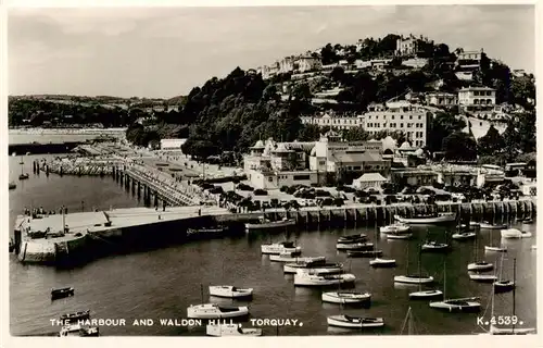 AK / Ansichtskarte 73960011 Torquay__UK Harbour and Waldon Hill aerial view