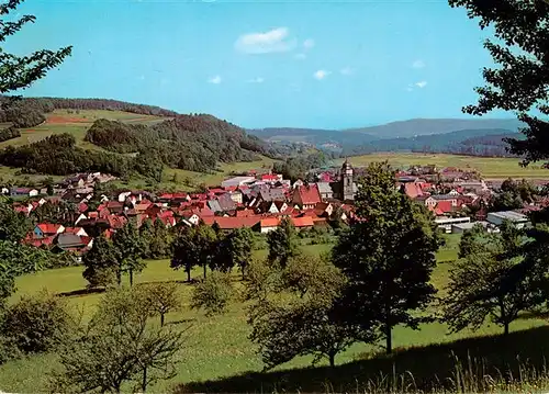 AK / Ansichtskarte  Weismain Panorama