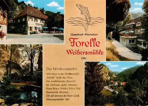 AK / Ansichtskarte 73960119 Weihersmuehle_Weismain Gasthof Pension Forelle Waldpartien