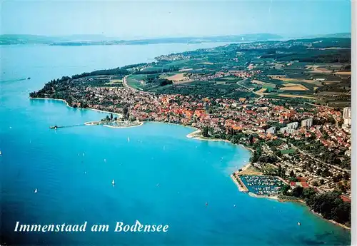 AK / Ansichtskarte  Immenstaad_Bodensee Fliegeraufnahme