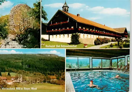 AK / Ansichtskarte  St_Englmar Aussichtsturm Hueschenstein Kurhotel Gut Schmelmerhof Rettenbach Hallenbad