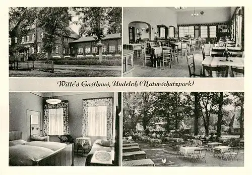 AK / Ansichtskarte 73960234 Undeloh Witte's Gasthaus Fremdenzimmer Gartenterrasse