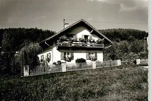 AK / Ansichtskarte  Blaibach_Bayern Gaestehaus Pension