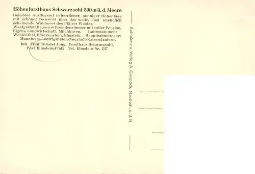 AK / Ansichtskarte 73960248 Elmstein_Rheinland-Pfalz Hoehenforsthaus Schwarzsohl