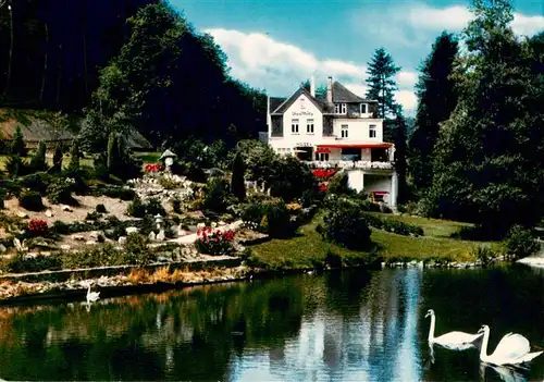 AK / Ansichtskarte  Rengsdorf Hotel Pension Waldcafé Obere Muehle Schwanenteich