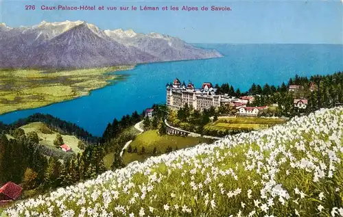 AK / Ansichtskarte  Leman_Lac_Genfersee Caux Palace Hotel et vue sur le Leman et les Alpes de Savoie