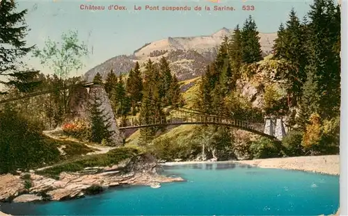 AK / Ansichtskarte  Chateau-d_Oex_VD Le Pont suspendu de la Sarine