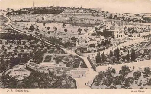 AK / Ansichtskarte  Jerusalem__Yerushalayim_Israel Panorama oelberg