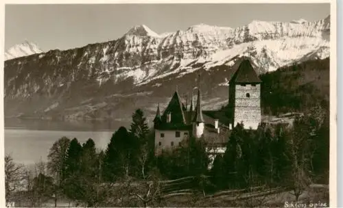 AK / Ansichtskarte  SPIEZ_Thunersee_BE Panorama mit Schloss