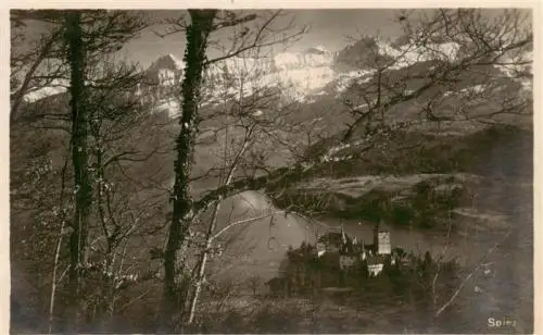 AK / Ansichtskarte  SPIEZ_Thunersee_BE Panorama mit Schloss