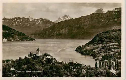 AK / Ansichtskarte  SPIEZ_Thunersee_BE Panorama mit Schloss