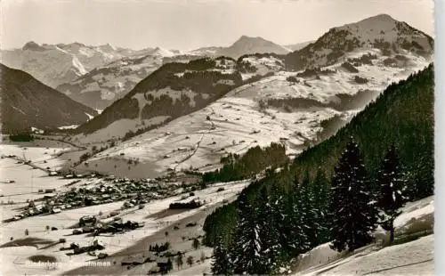 AK / Ansichtskarte  Rinderberg Panorama