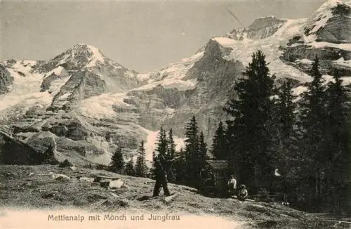 AK / Ansichtskarte  Mettlenalp_Napf_BE mit Moench und Jungfrau