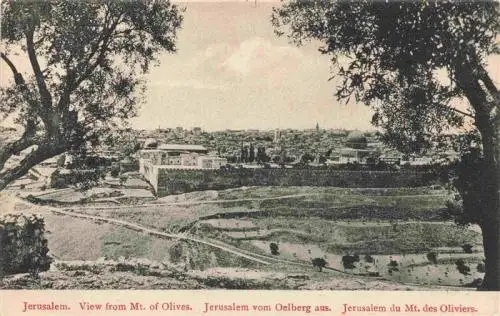 AK / Ansichtskarte 73960956 Jerusalem__Yerushalayim_Israel View from Mount of Olives Ansicht vom oelberg aus
