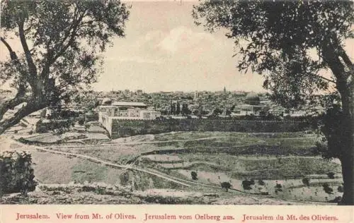 AK / Ansichtskarte  Jerusalem__Yerushalayim_Israel View from Mount of Olives Ansicht vom oelberg aus