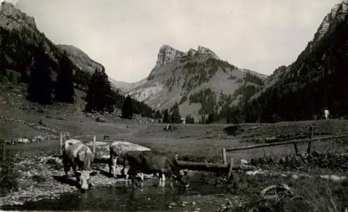 AK / Ansichtskarte  Justistal_Merligen_BE Panorama mit Merligen