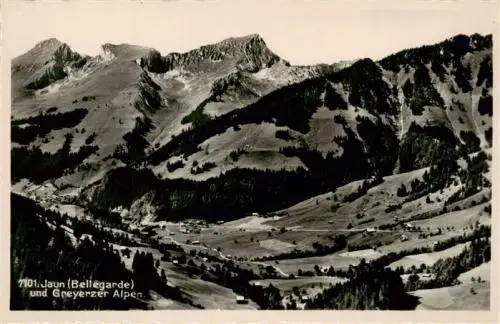 AK / Ansichtskarte  Jaun_BE und Greyerzer Alpen