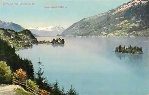 AK / Ansichtskarte  Iseltwald_BE am Brienzersee mit Niesenkette