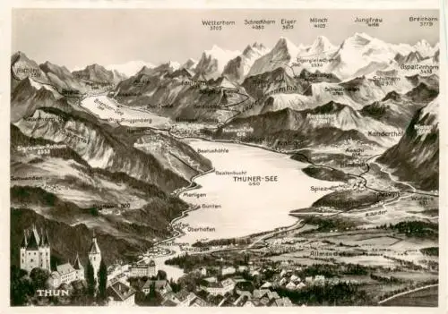 AK / Ansichtskarte  THUN_BE Panoramakarte mit Thuner See