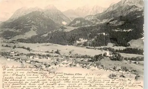 AK / Ansichtskarte  Chateau-d_Oex_VD Panorama