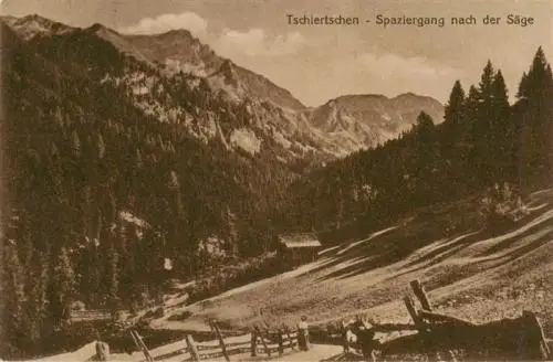 AK / Ansichtskarte  Tschiertschen_GR Weg nach der Saege