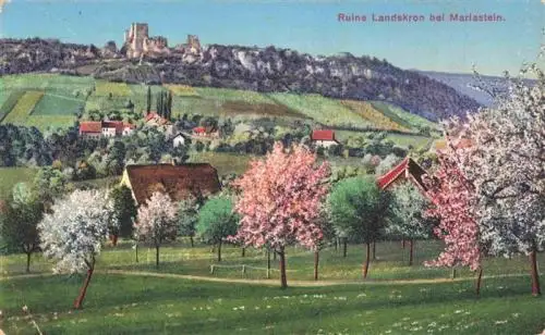 AK / Ansichtskarte  MARIASTEIN_SO Panorama Blick zur Ruine Landskron Baumbluete