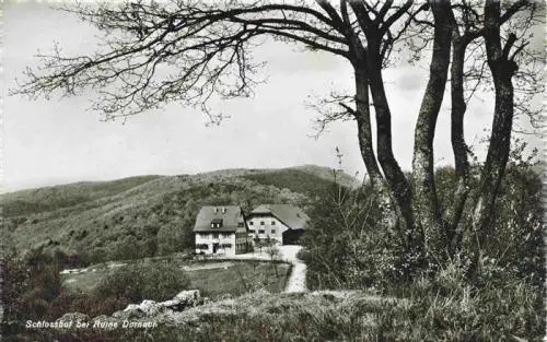 AK / Ansichtskarte  Dornach___SO Hotel Restaurant Schlosshof