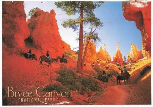 AK / Ansichtskarte  Bryce_Canyon_National_Park Horses and mules take visitors into the Canyon