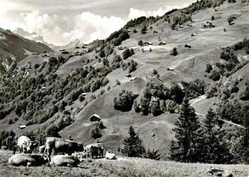 AK / Ansichtskarte  Weissenberge ob Matt Panorama