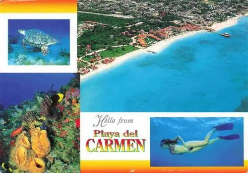 AK / Ansichtskarte 73961743 Playa_Del_Carmen_Mexico Luftaufnahme Taucher Meerestiere