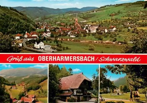 AK / Ansichtskarte  Oberharmersbach Panoram Schwarzwaldhaus Parkpartie