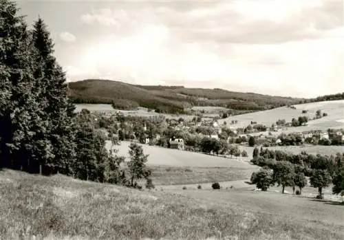 AK / Ansichtskarte  Erlbach__Vogtland Panorama