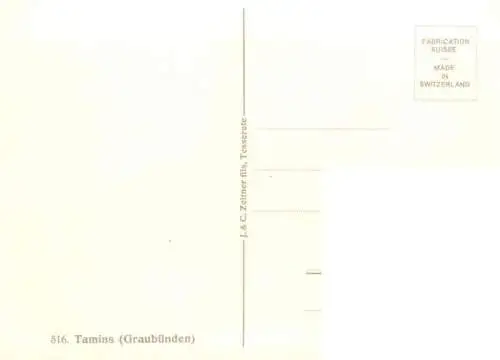 AK / Ansichtskarte  Tamins_GR Panorama