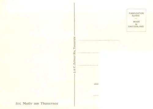 AK / Ansichtskarte  Thunersee_BE Panorama