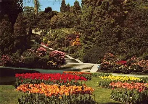 AK / Ansichtskarte 73962105 Insel_Mainau Ufergarten mit Tulpen und Rhododendrontreppe