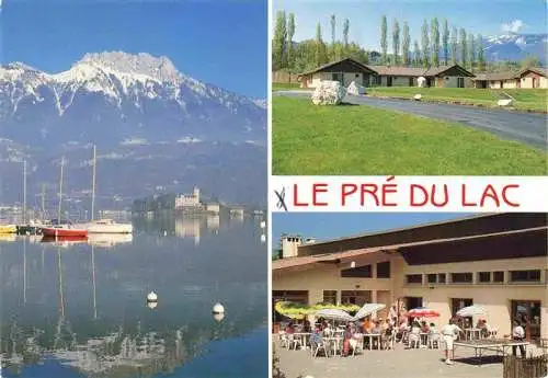 AK / Ansichtskarte  Saint-Jorioz Lac d'Annecy Château de Duingt le Lanfonnet Pavillons Massif du Semnoz Cafétéria Terrasse