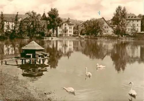 AK / Ansichtskarte 73962410 Bad_Salzungen Am Burgsee Schwanenteich