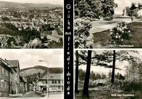 AK / Ansichtskarte  Friedrichroda Total Puschkinpark Hauptstrasse Blick zum Inselsberg